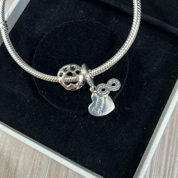 Pandora Silver Bracelet with Friends Forever, Paw Print, and Infinity Charms - Picture 3 of 4
